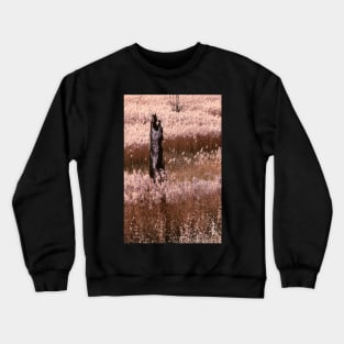 Burnt-out tree Crewneck Sweatshirt